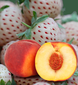 White Strawberry Peach Infused Balsamic Vinegar